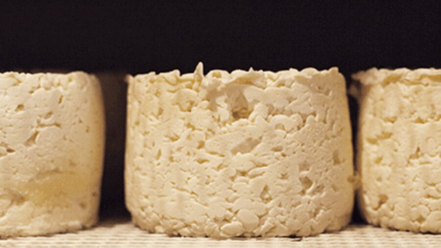 Le Mans gourmet food walking tour Discover Sarthe's flavors - Why This Tour Is Worth Your Money