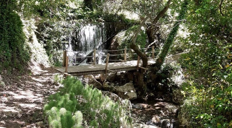 Lefkada: Path of Springs Hike with Olive Oil Tasting - Price and Value