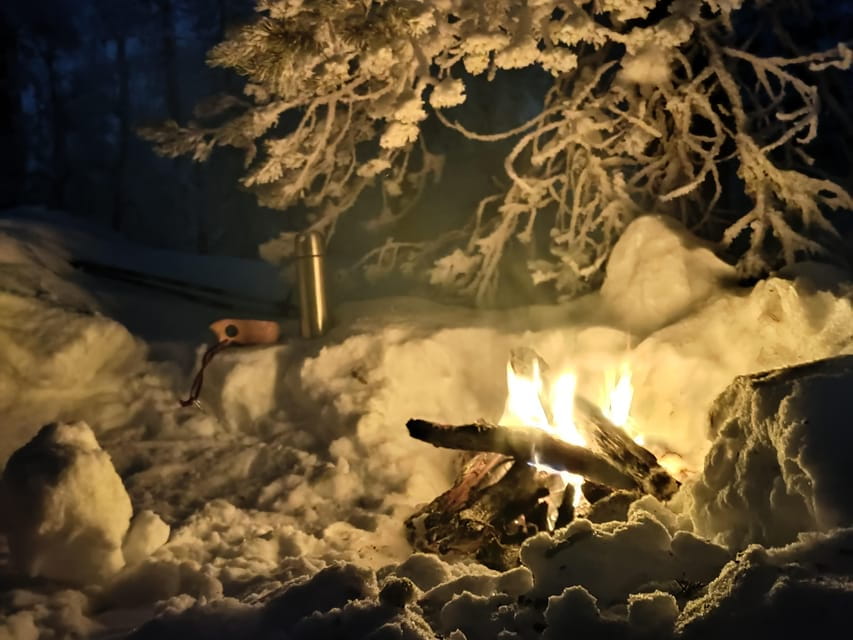 Levi: Snowshoeing and Marshmallow Grilling in the Snow - Price and Value: Is It Worth It?