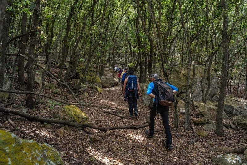 Linea isola di Zannone - Exploring Zannone in Depth: The Itinerary and Experience