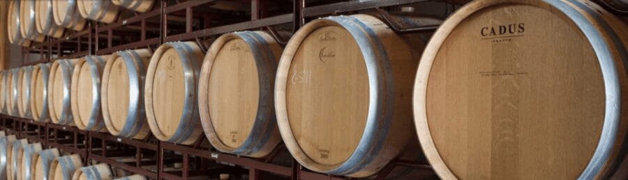 Llucmajor: Bodegas Bordoy Wine Tour - Entering the Heart of Mallorca’s Wine Culture