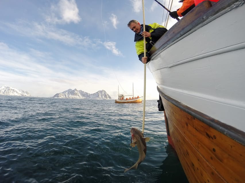 Lofoten: Traditional Fishing Trip - Why This Experience Stands Out