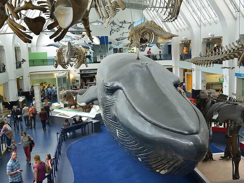 London: Guided Tour of Natural Marvels - Exploring Earths Shaping Forces in the Volcanoes and Earthquakes Gallery