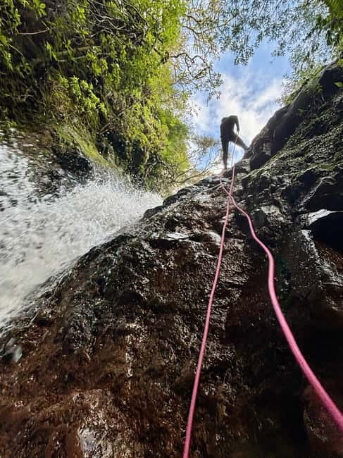 Madeira: Level 1 Canyoning Half Day Adventure - The Sum Up