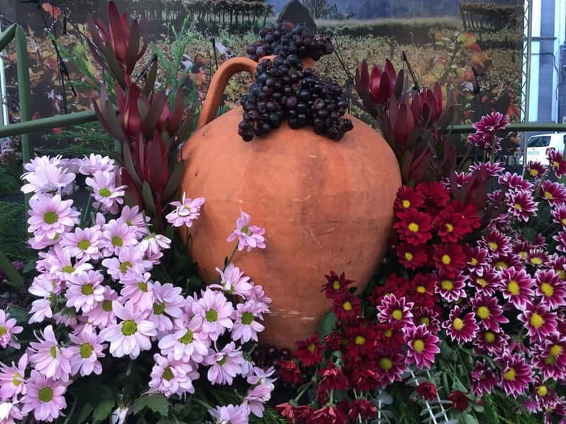 Madeira Private 4-Seater Mercedes VIP - Transportation and Duration: Practical Aspects