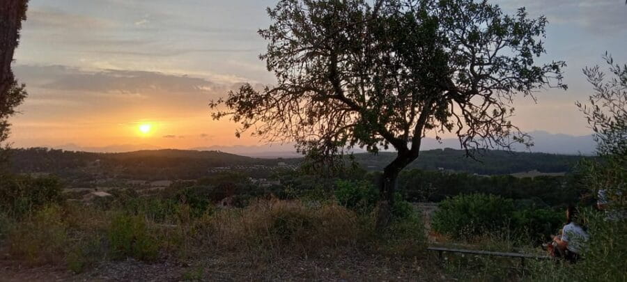 Mallorca: , Mallorcan sunset, horseback riding, with drinks - Price and Value