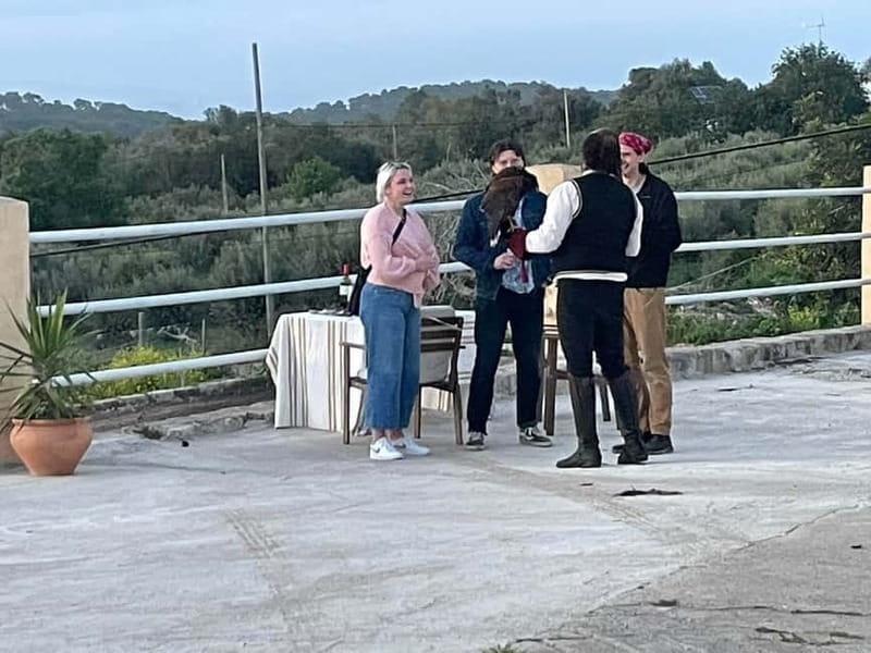 Mallorca: Sunset excursion, horse show, and falconry. - The Horse Show: A Touch of Elegance