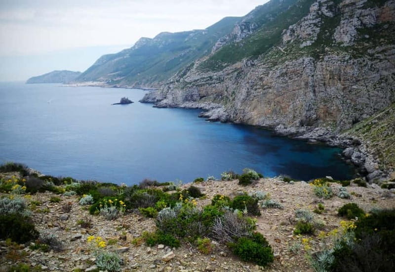 Marettimo: cruise from Trapani w/lunch and visit the caves - The Value of This Experience