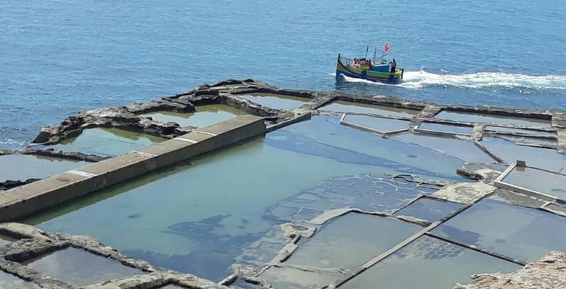 Marsaxlokk and Delimara Coast Boat Trip : incl. St.Peter's - FAQ