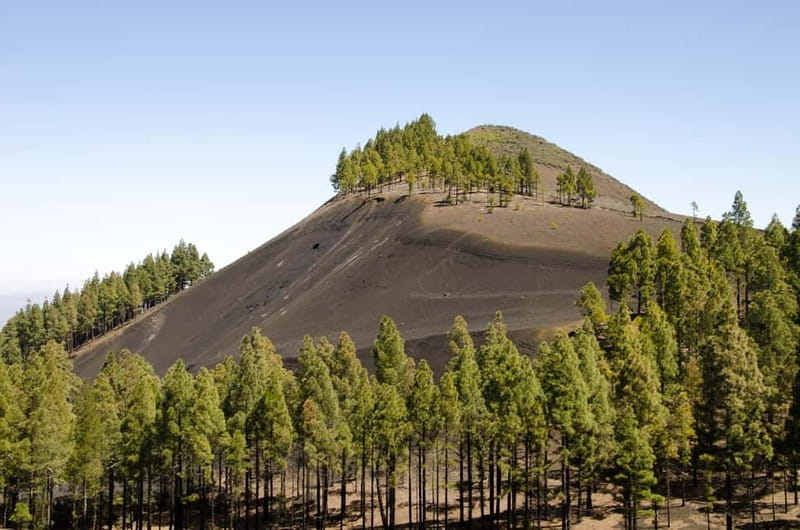 Maspalomas & Las Palmas: Artenara, Tamadaba & cider tasting - Discovering Gran Canaria’s Natural and Cultural Side