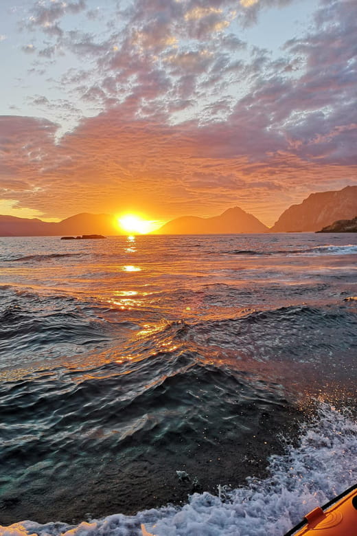 Midnight sun safari - Wildlife and Nature: What You Might See