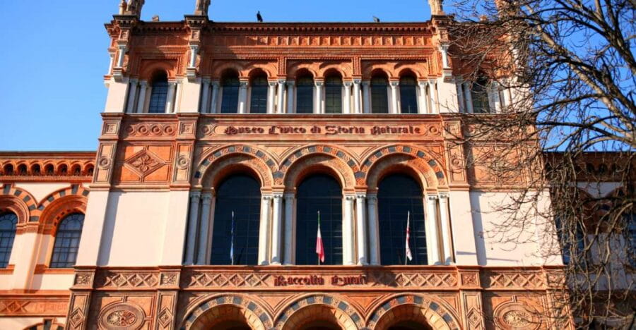 Milan: Natural History Museum Entry Ticket & Audio Guide - What You’ll See Inside: Exhibits and Highlights