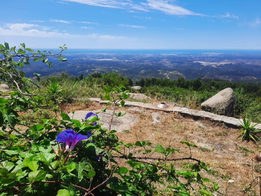 Monchique & Silves: guided day trip - The Sum Up: Is This Tour Worth It?