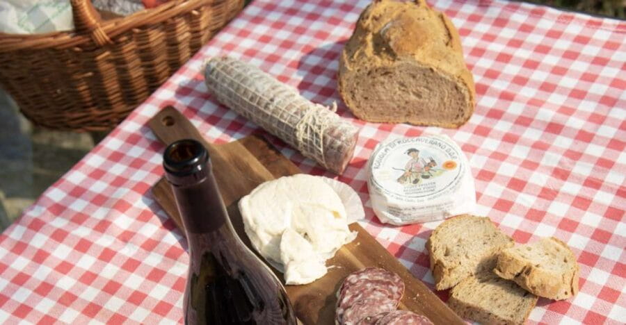 Monferrato: Wine Tour & Picnic in the Vineyards - A Full Breakdown of the Experience