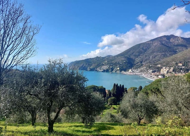 Monterosso Hiking Tour: Discover the Best Trails of 5 Terre - FAQ