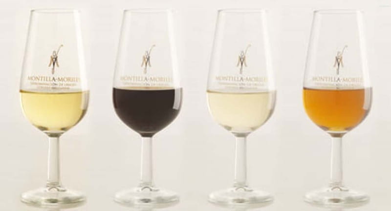 Montilla-Moriles Wine Tasting - The Wines: Four Styles of Montilla-Moriles