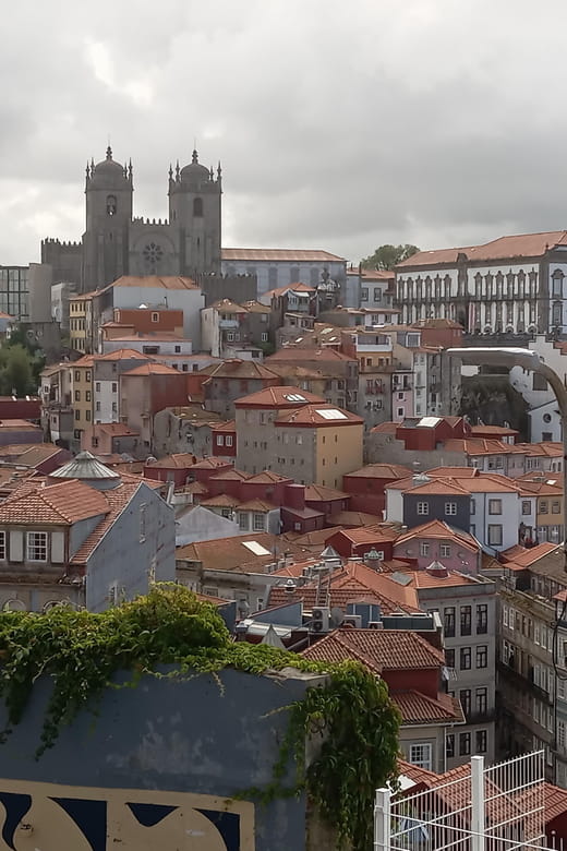 Monumental and historical Oporto with the Stock Exchange Palace - The Itinerary in Detail: What You’ll See and Experience