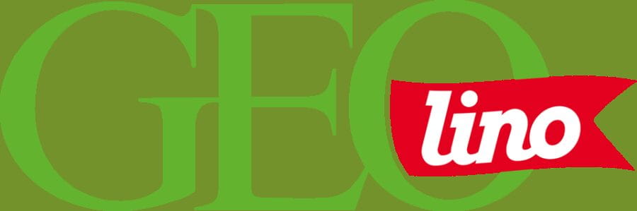 Münster: Oldtown Geolino City Rallye for Kids - The Itinerary Breakdown: What Youll See and Do