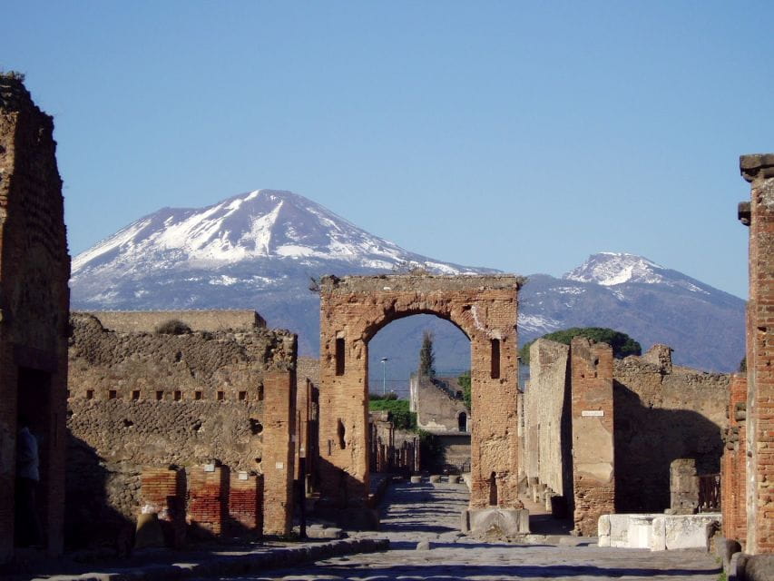 Naples: Full-Day Pompeii & Herculaneum Wine Tasting Tour - Who Will Love This Tour?