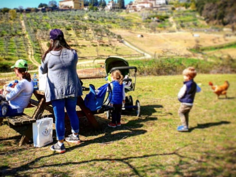 Natural Park and Picnic Experience near Florence - Arriving at the Farm: The Starting Point in Fiesole