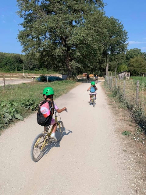 Nice: Discovery tree climbing for children in a natural setting - The Value of Safety and Equipment