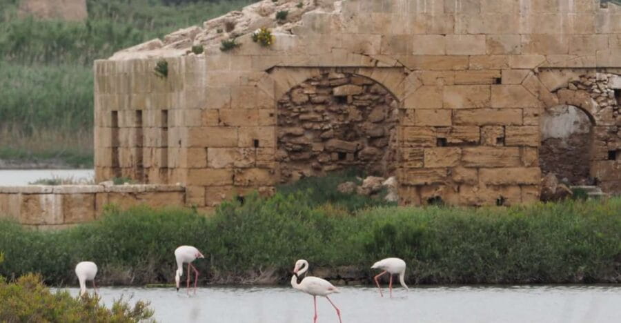 Noto: Guided trekking and birdwatching at Vendicari Reserve - Key Points / Takeaways