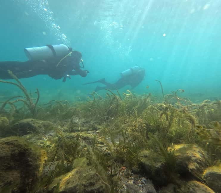 Ohrid: Scuba Diving Experience in Lake Ohrid - Price and Logistics: What You Should Know