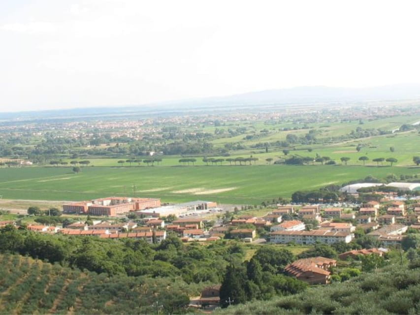 Olive Mill Tour with Oil and Food Tastings near Pisa - FAQs