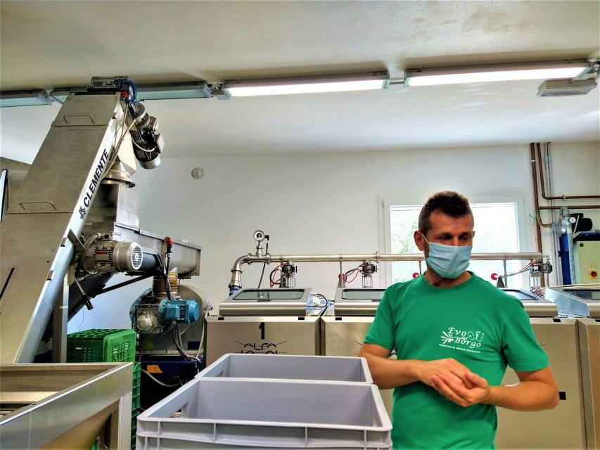 Olive Oil & Wine in the Euganean Hills From Terme - Who Should Consider This Tour?