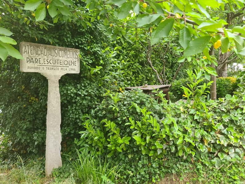 On the Tracks of Memory: The Railway History of Vila Real - Walking the Old Corgo Line: A Journey Through Time and Nature