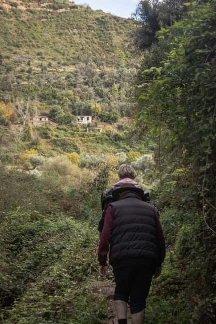 One Day Off-Road Trip in Attica - Entering the Wild: Off-Road Driving in Mount Parnitha