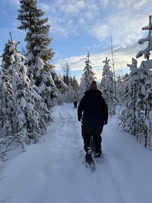 Överkalix: Full-Day Snowshoeing Tour with Outdoor Lunch - Who Will Love This Tour?