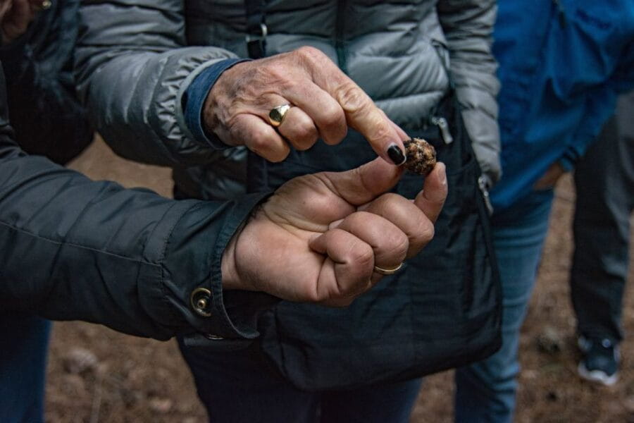 Palazzolo Acreide: Truffle Hunting with Lunch and Wine - Truffle Hunting: A Skill and a Sensory Experience