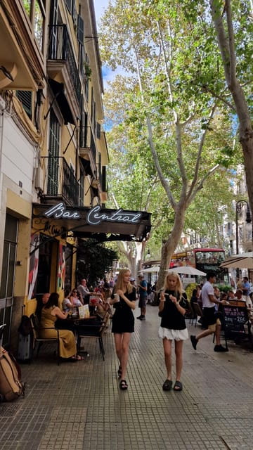 PALMA DE MALLORCA & SOLLER MIT BAHN & STADTFÜHRUNG ab Palma - The Scenic Journey Through the Tramuntana Mountains