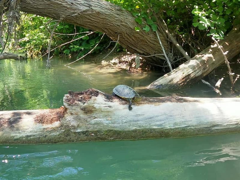 Parga: Kayaking Adventure in the Acheron River 13 km - Practical Details and Tips for Your Kayaking Day