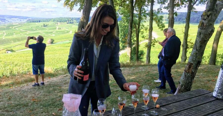 Paris: Private Day Trip to Champagne with 8 Tastings & Lunch - How the Tour Unfolds: A Detailed Walkthrough
