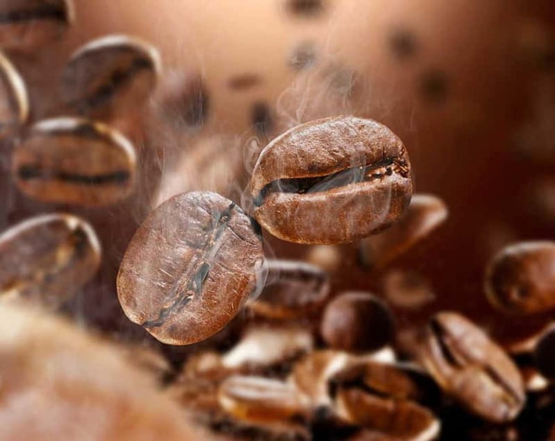 Parma: Parmigiano, Prosciutto, and Coffee Tour with Tasting - Price and Logistics: Does It Deliver Value?