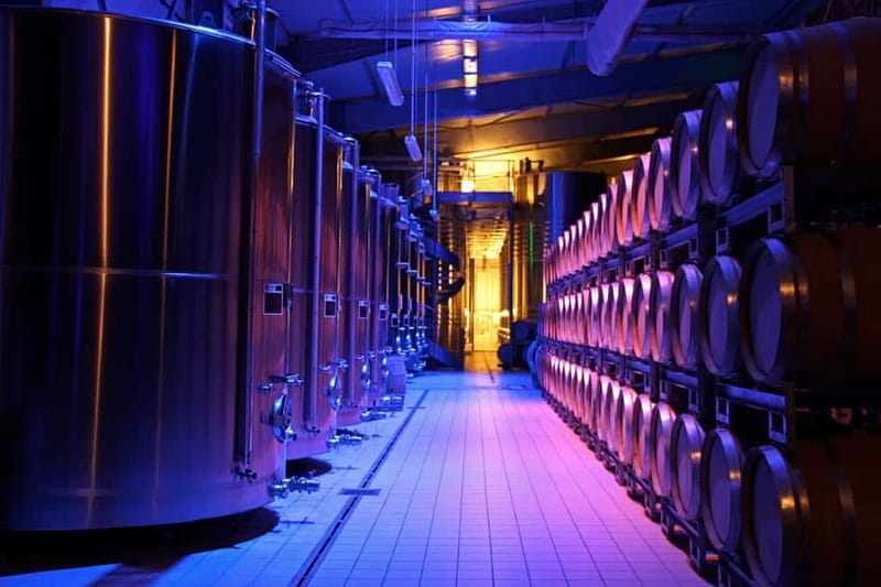 Passy-Grigny: Chocolate and Champagne Tasting Tour - FAQ: Your Questions About the Passy-Grigny Chocolate and Champagne Tour