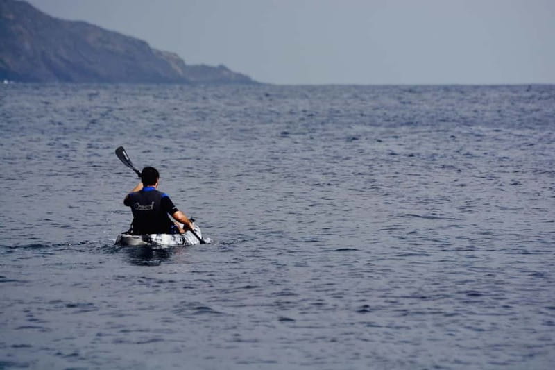 Pico island: guided kayak and snorkel tour - Price and Logistics: A Good Investment in Authenticity