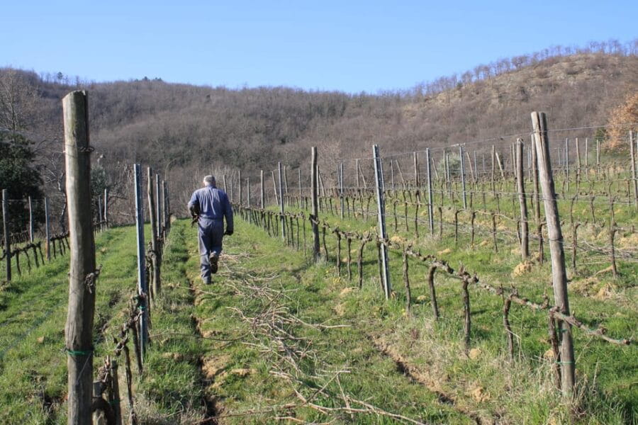 Podere Della Bruciata: Montepulciano Primal Cru Experience - Price and Practicalities