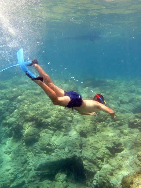 Polis: Blue Lagoon Boat Tour with bus from Paphos - What to Expect from the Experience