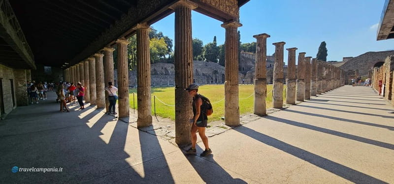 Pompeii: Tour with Archaeologist Guide & Skip-the-Line Entry - Exploring Pompeii with an Expert Guide