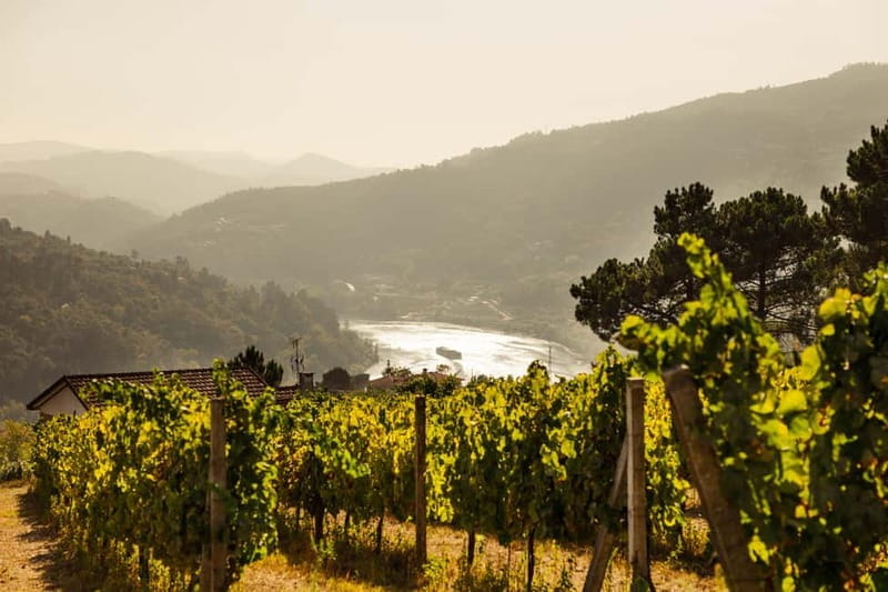Porto: Douro Valley Exclusive Vinho Verde Tour - Douro River Views and the Second Winery: A Visual Feast