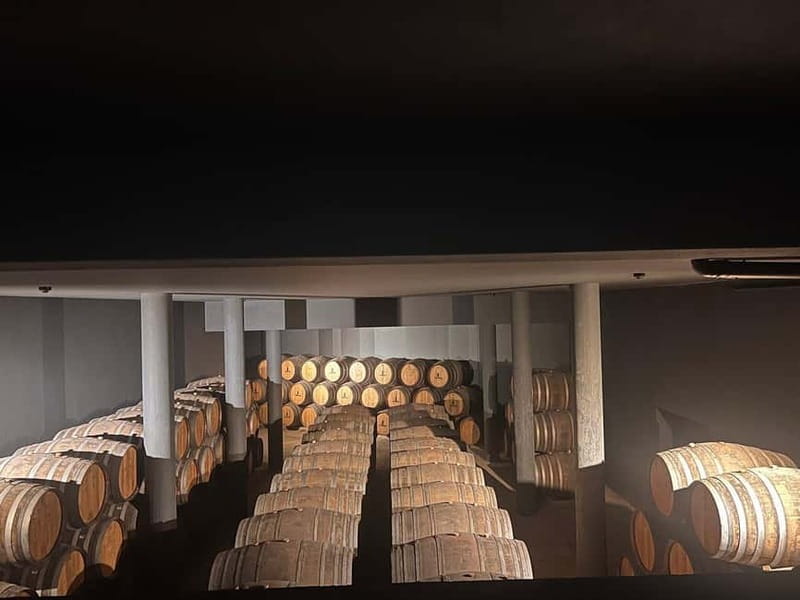 Porto: Douro Valley Half-Day Wine and Food Tour - The Richness of the Estate Visit: Beyond Tasting