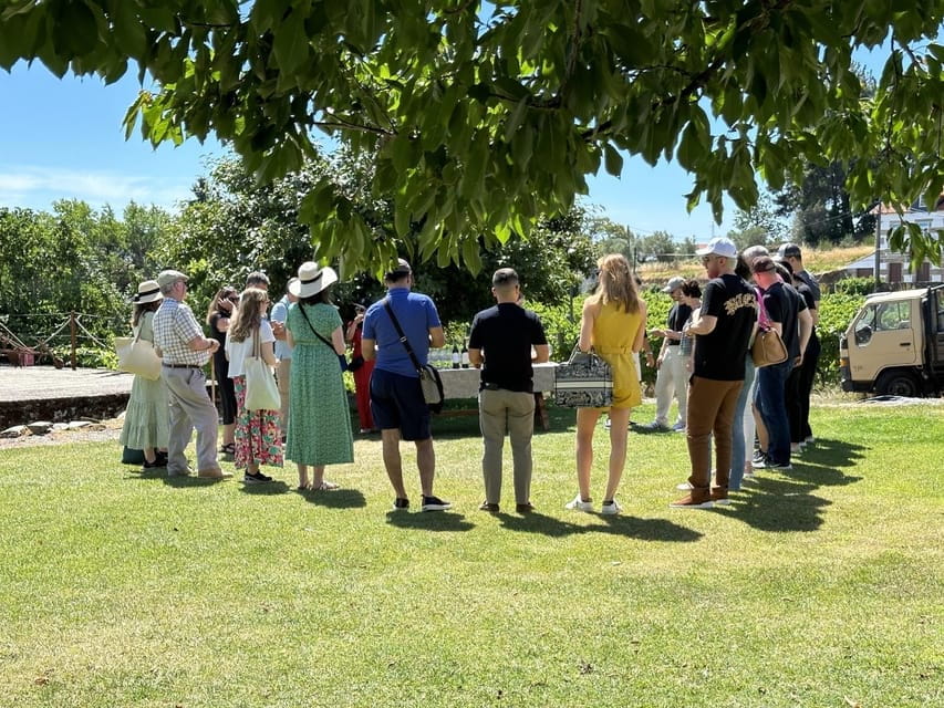 Porto: Douro Valley Tour with 3 vineyards and lunch. - Unforgettable Views of the Douro River