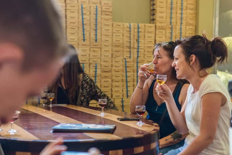 Porto: Magic Train Tour and Port Wine Cellar with Tastings - Touring Porto’s Historic Center from a Unique Perspective