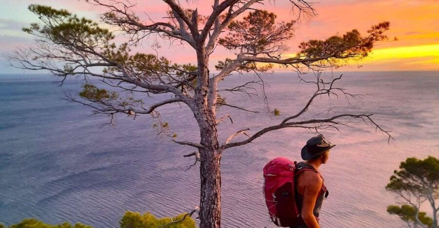 Portofino: Guided Mountain Hike with Ice Cream - Who Should Consider This Tour?