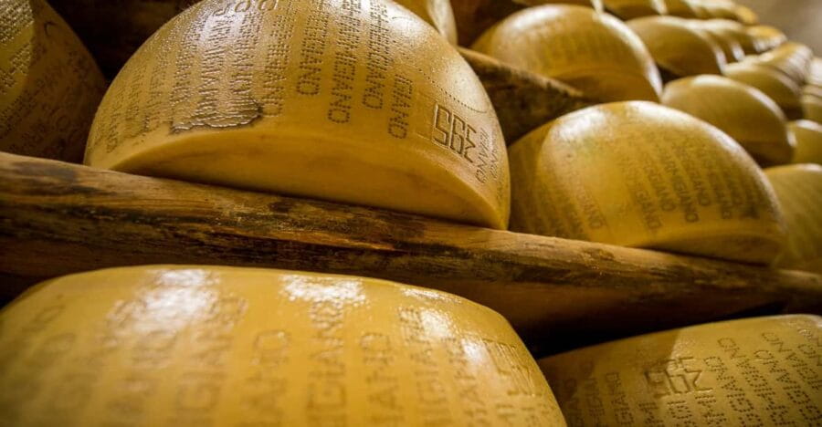 Reggio Emilia: Parmigiano Reggiano & Balsamic Vinegar Tour - Entering the World of Parmigiano Reggiano