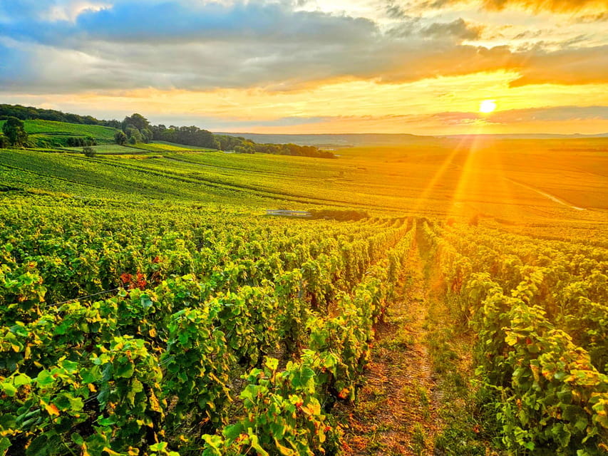 Reims: Veuve Clicquot Tasting Private Tour in Champagne - Exploring Reims and Its Champagne Heritage