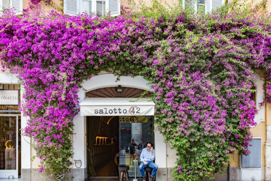 Rome: Fountains and Squares Small-Group Walking Tour - What to Expect and How to Prepare